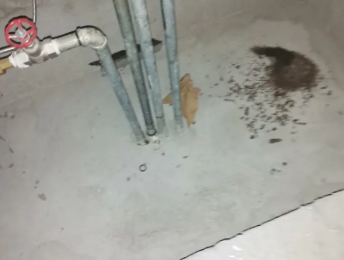 吉县卫生间测漏水价格明细